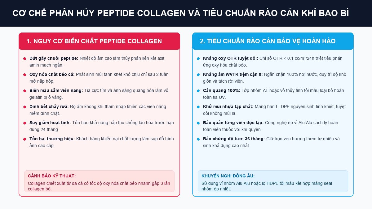 Sơ đồ cơ chế phân hủy chuỗi peptide collagen và tiêu chuẩn rào cản OTR WVTR bảo vệ viên uống