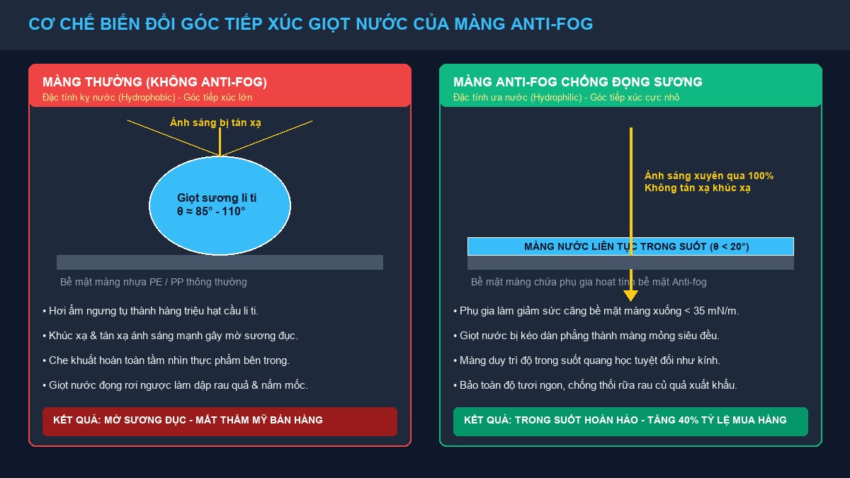 Minh họa phẳng Flat 2D đối chiếu màng thường đọng sương mờ đục và màng Anti-fog trong suốt