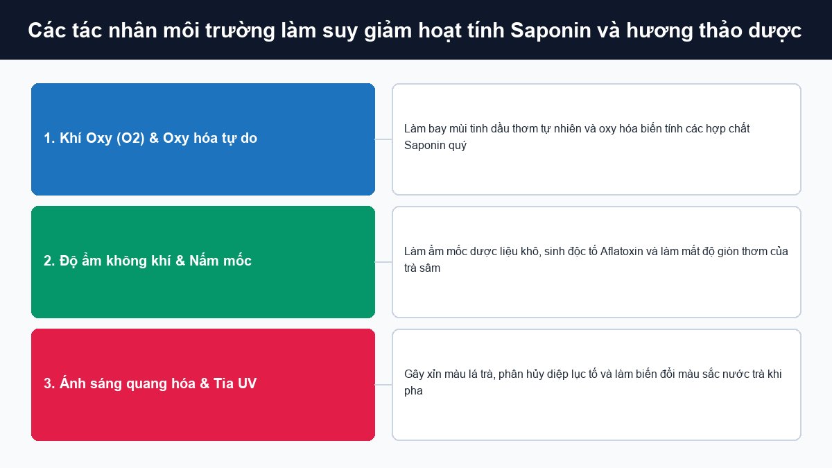 Ảnh hưởng của oxy độ ẩm và ánh sáng tử ngoại làm suy giảm chất lượng trà sâm